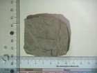 Imagen 3 de 3