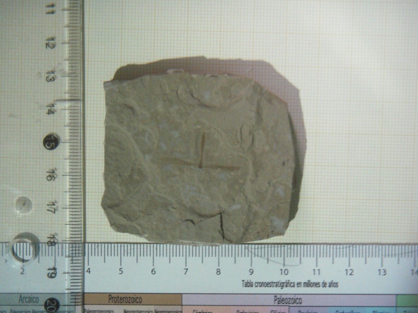 Imagen 3 de 3