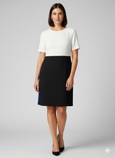 Eliza J Color Block Shift Dress Blue Black White Short Sleeve Size 12 EJ6M3981