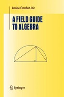 Antoine Chambert-Loir | A Field Guide To Algebra | Taschenbuch | Englisch (2010)