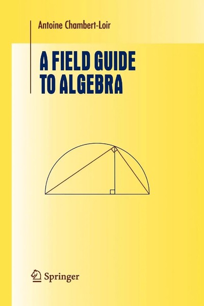 Antoine Chambert-Loir | A Field Guide To Algebra | Taschenbuch | Englisch (2010)-image