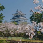 kahendr_2882