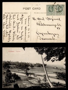 DR WHO 1908 CEYLON KALUTARA POST CARD TO DENMARK R71357