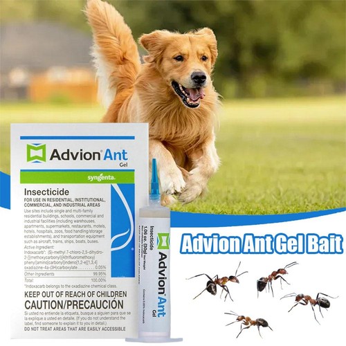 Syngenta Ant Gel Bait 1Tube 1x30-Gram | 1 Plunger & 2 Tips Effective Bait - Picture 4 of 9