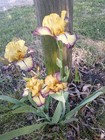 Bild 4 von 4