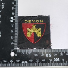 Boy Scout - English County Badge Devon  (A42)
