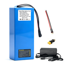 48V 10Ah Lithium Battery Pack with 20A BMS for 100W-1000W Electric Bicycle Motor