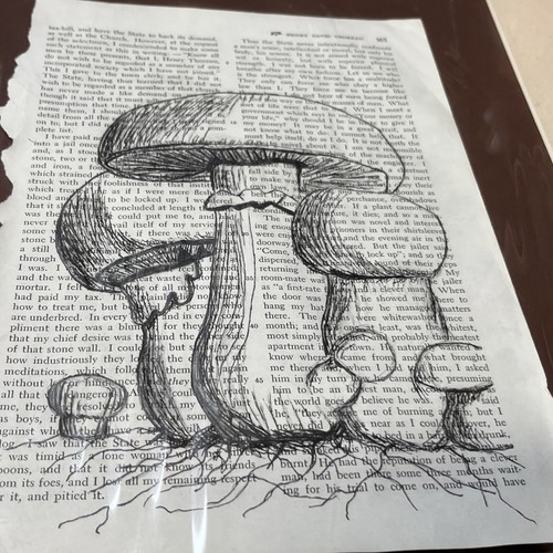 Libro Reciclado Original Página Dibujo Boceto Agaricus Campestris Prado Setas - Imagen 3 de 9