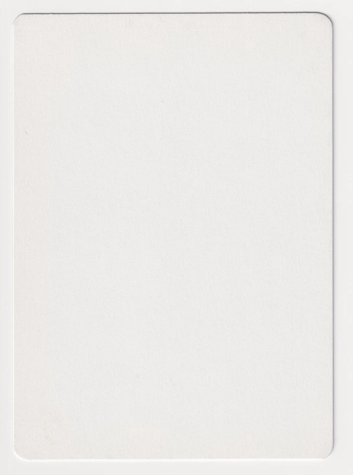 Signed Portuguese Glacial Wall Proof LP Ice Age Artist Dameon Willich MTG AP! - Image 2 of 2