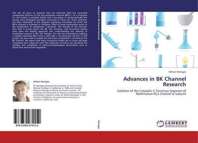 Advances in BK Channel Research Wilton Remigio