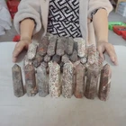 9.4LB 40Pcs Natural Leopard Skin Jasper Crystal Point Tower Healing Africa