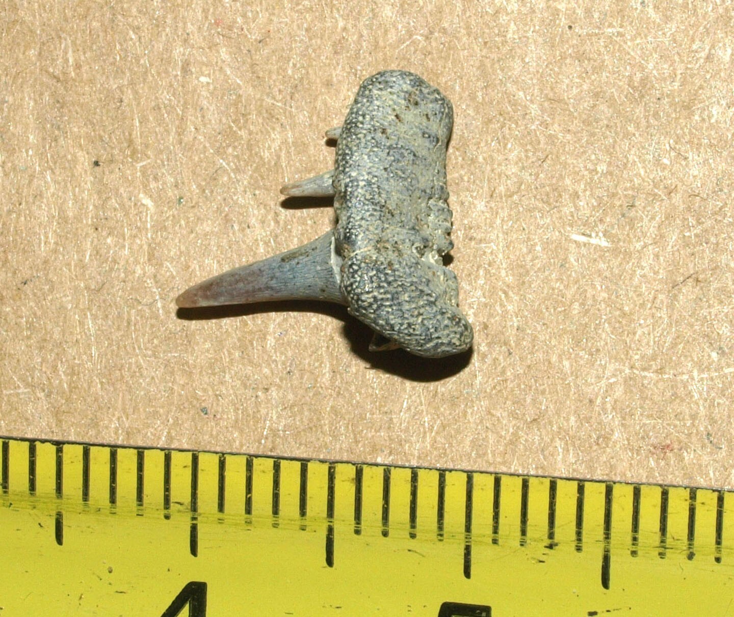 Picture 3 of 15
