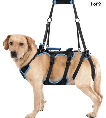 LAFOTY XLARGE Male Dog Lift Harness Support Mobility Assistance Seniors Surgery