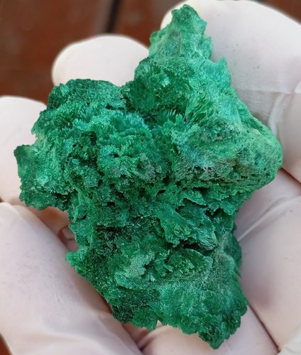 Brochantite? - Katanga Copper Crescent DRC Congo - Picture 8 of 12