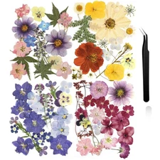 Nuanchu Pressed Flowers Bulk Dried Flower for Crafts, Dried Wildflowers Leave...
