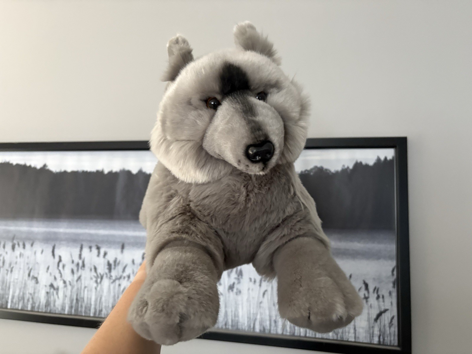 Auswella Gray Wolf Lying Plush BNWT 22”