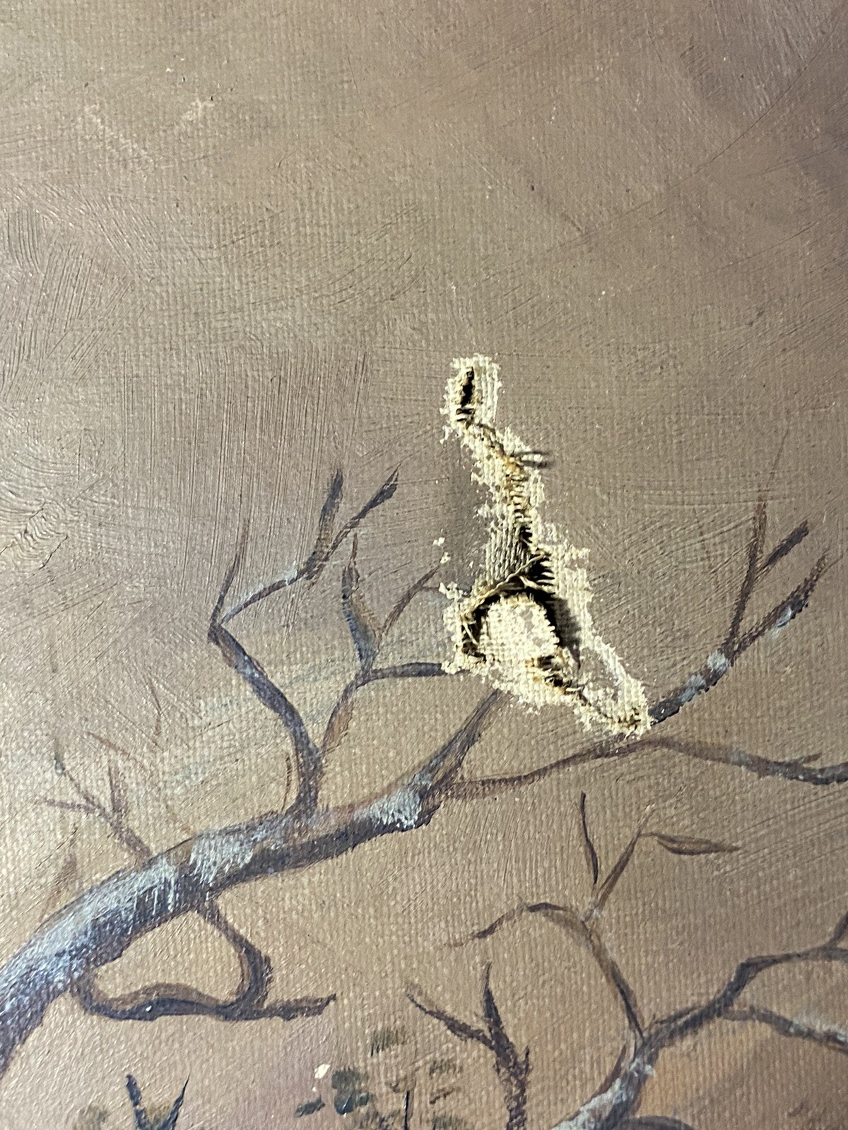 Foto 10 di 24