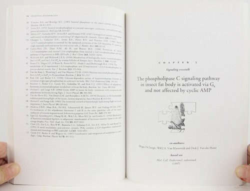 Signal Transduction of Adipokinetic Hormones 1997 Insects' Long-Distance Flight - Picture 5 of 8