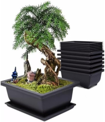 MissFox Set di 6 Vasi per Piante in Plastica con Vassoio, Vaso per Bonsai Rettangolare, Cortile Decorazione i Vasi di Fiori da Interno All'aperto, 16x12x6cm