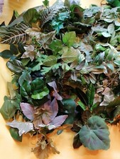 Grüne Blätter XXL Konvolut Floristik