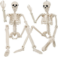 3Ft Halloween Decorations Outdoor/Indoor, Two 36" Realistic Skull Skeletons