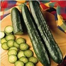 Sweeter Yet Cucumbers Seeds (20+ Seeds) | Non GMO | Vegetable Fruit Herb Flower 