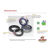 All Balls Radlager-Kit 25-1051