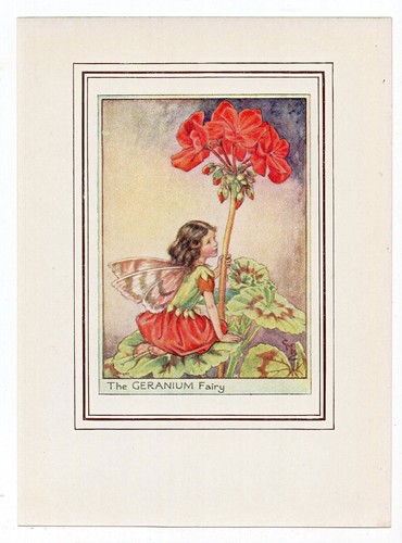 1950's Geranium Garden Flower Fairy, Fairies Print by Cicely Barker