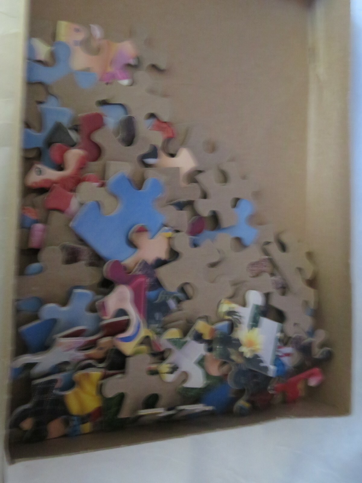 Picture 5 of 5