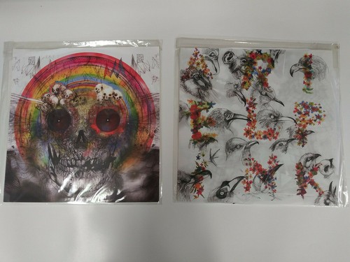 MELTED MAILBOX SERIES ONE box set ARIEL PINK witchhunt suite LP + ART 262/700 - Picture 5 of 12
