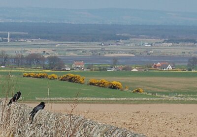 Foto 6x4 Twa Corbies Strathkinness Zwei Krähen auf einem Deich Vermessung alle th c2008