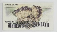 2020 Topps Allen & Ginter's Behemoths Beneath Minis Giant Clam #MGB-17 0e8z