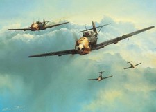 Evening Reflection by Richard Taylor Aviation Art Signed by WWII Luftwaffe Aces
