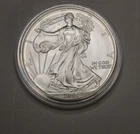 2001 Silver American Eagle Coin Littleton Coin Company