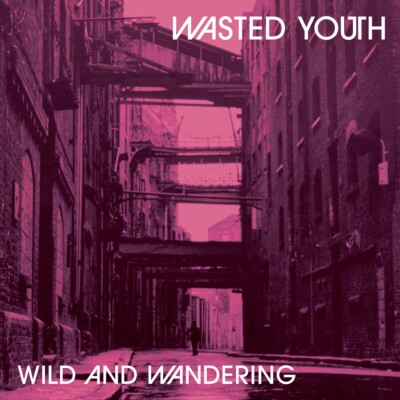 WASTED YOUTH - WILD and WANDERING 12'' Vinyl Album - Post Punk - Ltd Ed - SUPERB