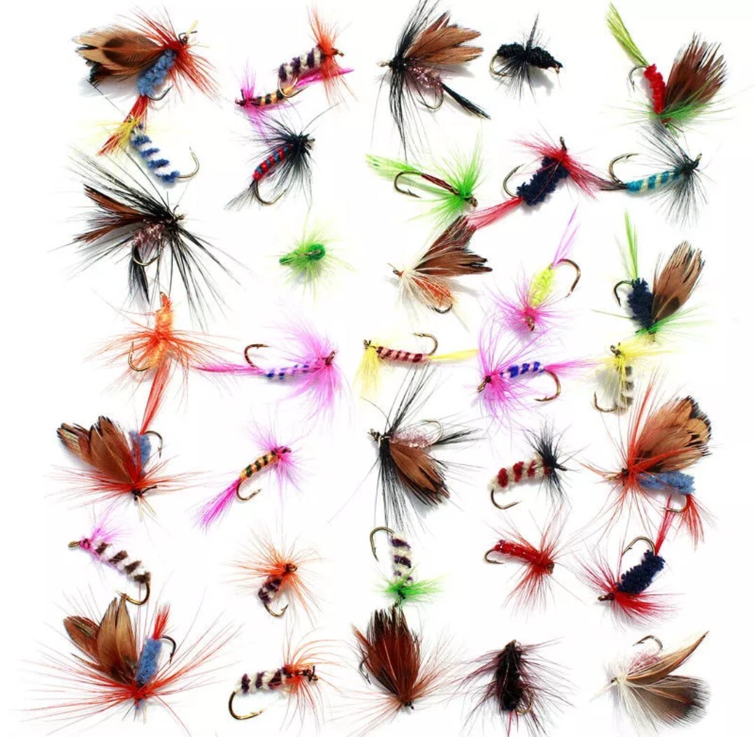 Trout Salmon Fly Fishing Flies 60 Pcs assortment Insect lot brand