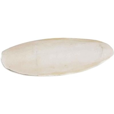 Cuttlebone for Birds - 25 Pack with Holder