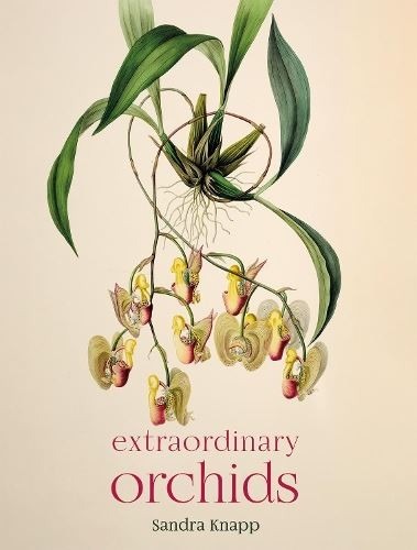 Extraordinary Orchids, Sandra Knapp, New, hardcover