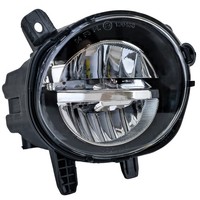LED Nebelscheinwerfer Rechts FüR BMW F20 F21 F30 F31 F34 F32 F33 F36 LCI