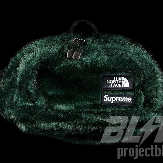 Sac FW20 Supreme The North Face fausse fourrure taille vert 2020