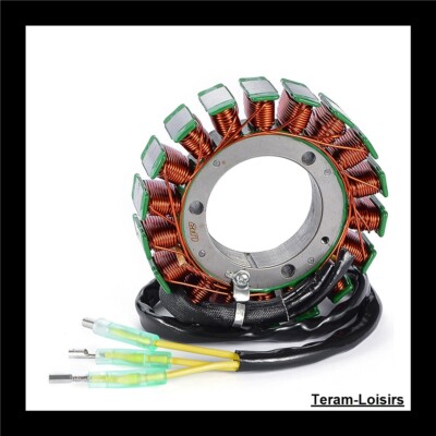 Stator Zündung für Kawasaki VN1500 Vulcan 1500 von 1996 bis 1999 NEU