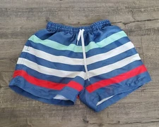 Chubbies The Me Likey The Stripey Mens 4.5” Swim Trunks Size Large 