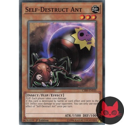 Yugioh Selbstzerstörungsameise CIBR-DE035 Common 1. Auflage NM