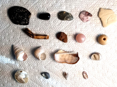 Natural Curiosity Specimen Lot 17 Shells Beach Stones Agate Obsidian Driftwood