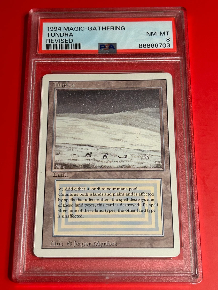 Land Magic: The Gathering Professional Sports Authenticator (PSA
