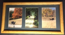 Conrad Larson's Framed Matted Under glass Collage of Amish Buggies Ready to Hang