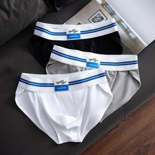 Mens Breathable Modal Low Rise Underwear Briefs with Pouch Elastic Waistband