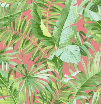Alfresco Tropical Palm Wallpaper A Street Prints (Covers 56.4-Sq-Ft/Roll)
