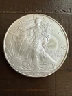 2010 1 Oz Silver American Eagle (Brilliant Uncirculated)