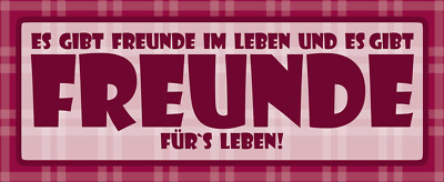 Blechschild 27x10 Es gibt Freunde im Leben uns es gibt die Fürs Leben Spruch Wan